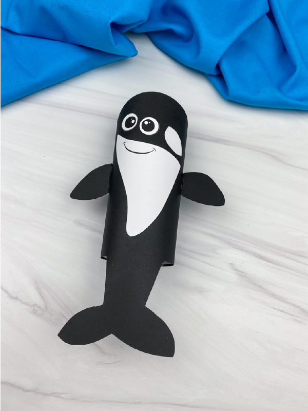 killer whale toilet paper roll craft