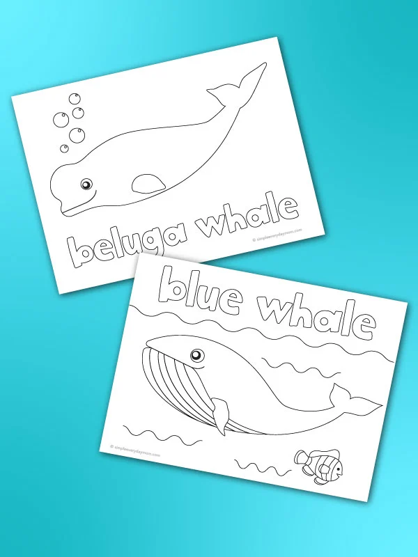whale coloring page mockup