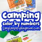 camping color by number printables image collage with the words camping color by numbers in the middle