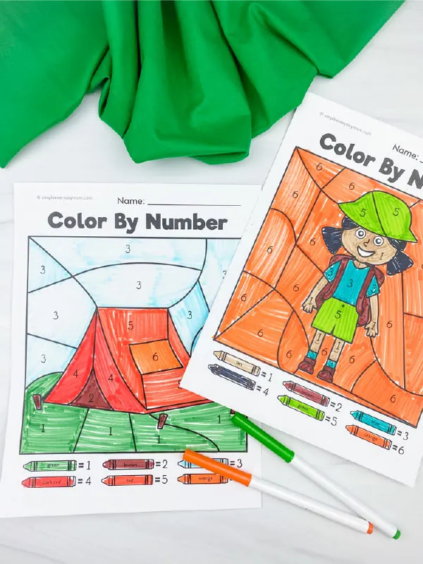 camping color by number printables