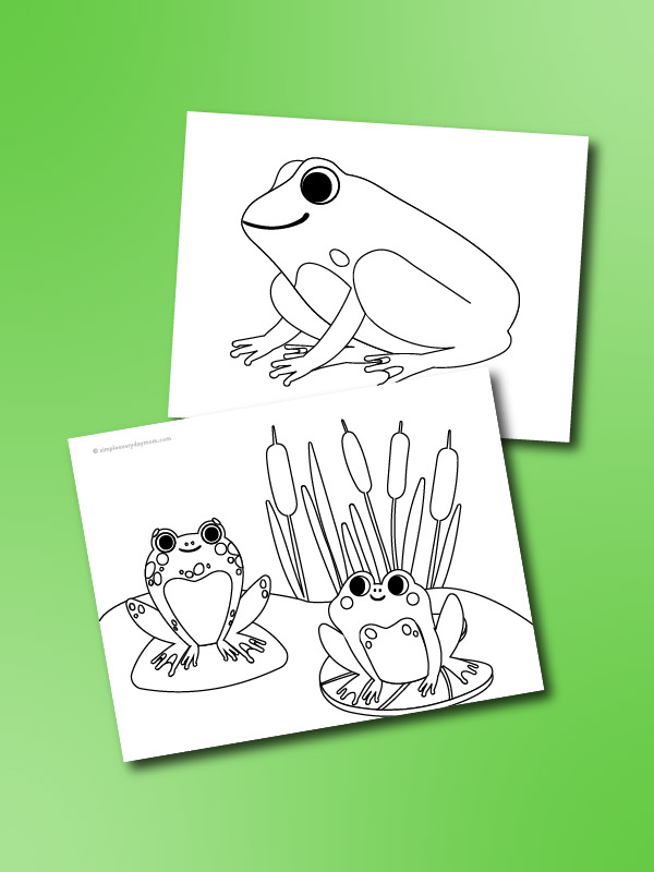 frog coloring pages mockup