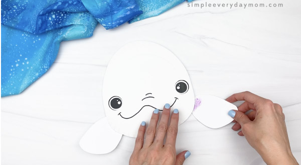 hand gluing flipper to paper plate beluga whale craft