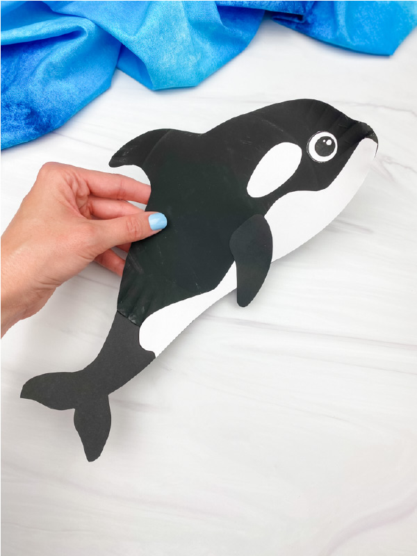 hand holding paper plate killer whale