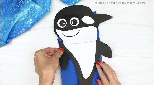 hand gluing body to killer whale paper bag craft