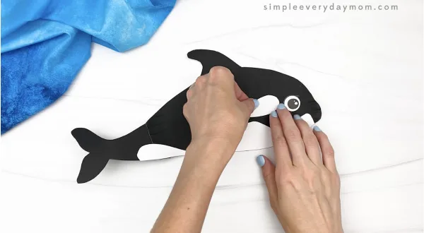 hand gluing eye spot to paper plate whale