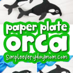 killer whale paper plate craft image collage with the words paper plate orca in the middle