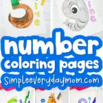 number coloring page image collage with the words number coloring pages in the middle