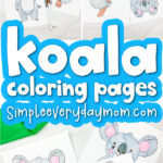 koala coloring page image collage with the words koala coloring pages in the middle