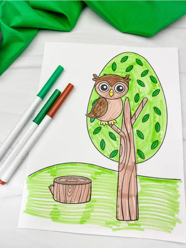 owl in tree coloring page