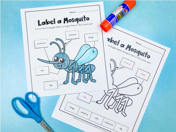 label a mosquito worksheet
