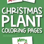christmas plant coloring page images with the words christmas plant coloring pages in the middle