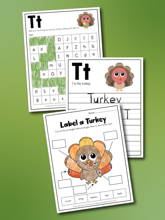 Turkey Worksheets For Kids [Free Printables]
