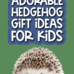 hedgehog picture with the words 14 adorable hedgehog gift ideas for kids