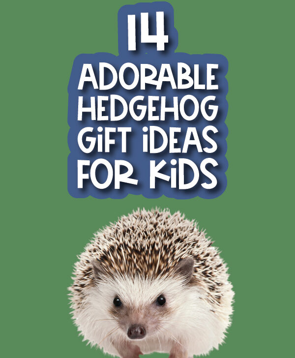 hedgehog picture with the words 14 adorable hedgehog gift ideas for kids