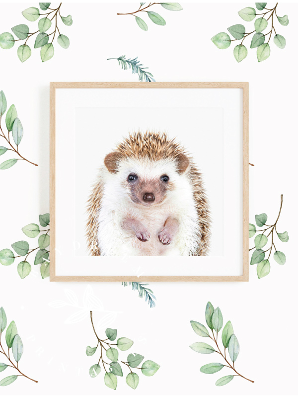 AHE-5MC Mother and Baby Hedgehog Mug+Coaster Christmas/Birthday Gift Idea 