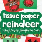 reindeer tissue paper craft image collage with the words tissue paper reindeer