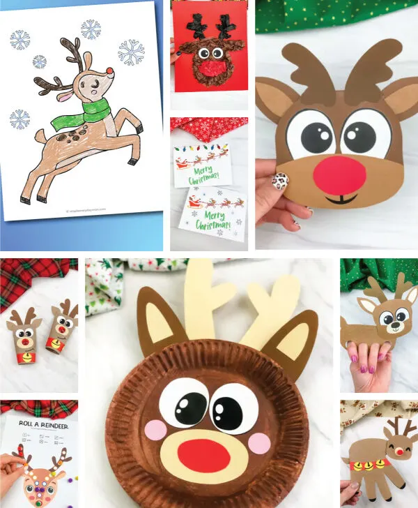 reindeer activities image collage