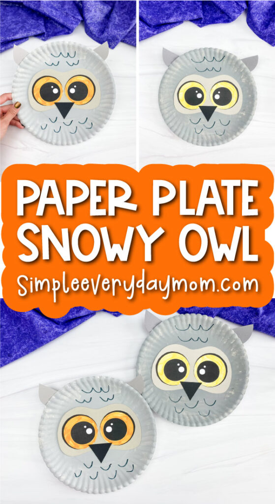 paper plate snowy owl craft image collage with the words paper plate snowy owl
