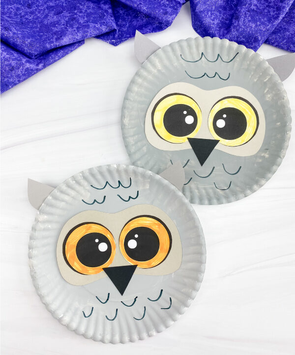 2 paper plate snowy owl crafts