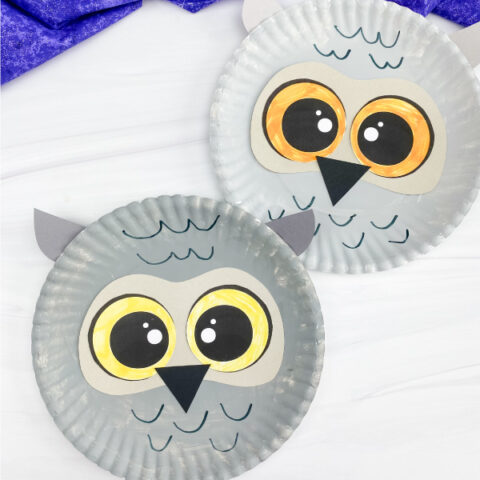 2 paper plate snowy owl crafts