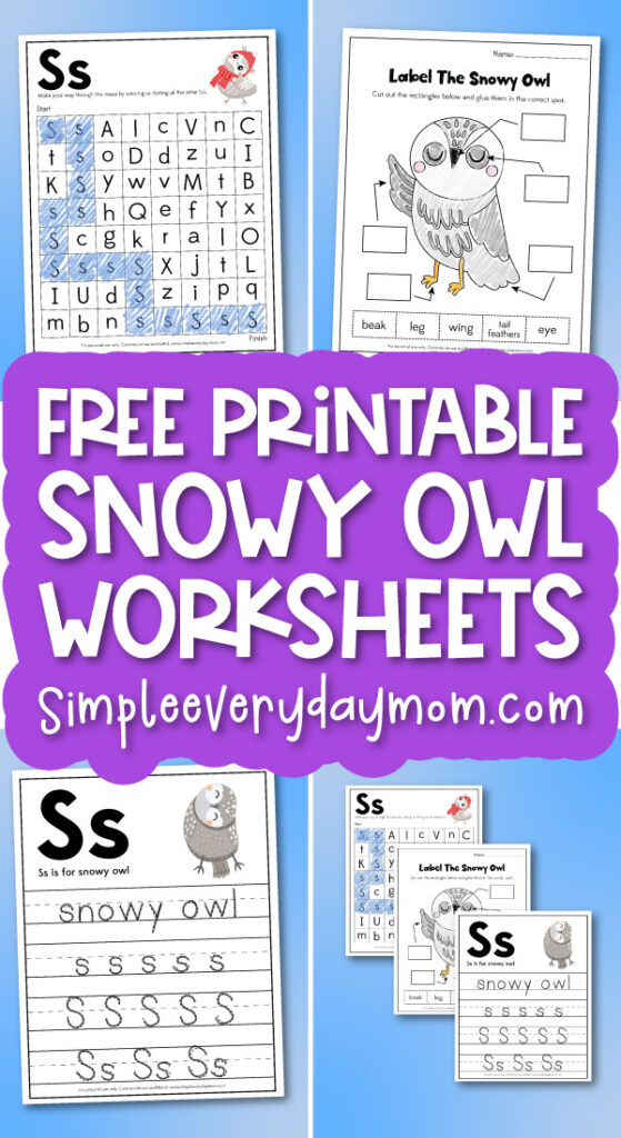 snowy owl worksheets image collage with the words free printable snowy owl worksheets