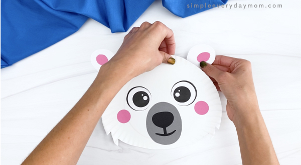 hand taping ears to paper plate polar bear craft