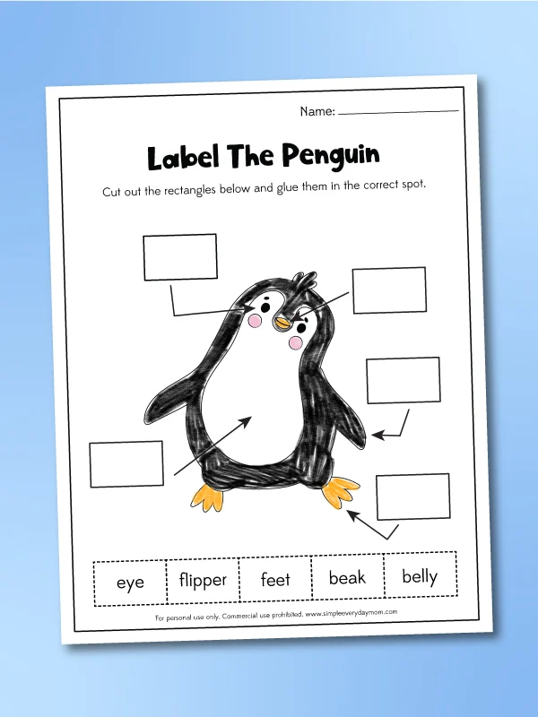 label a penguin worksheet