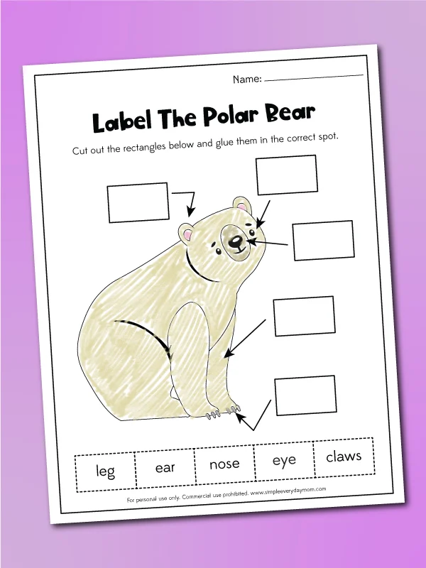 label a polar bear worksheet