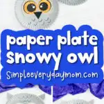 paper plate snowy owl craft image collage with the words paper plate snowy owl