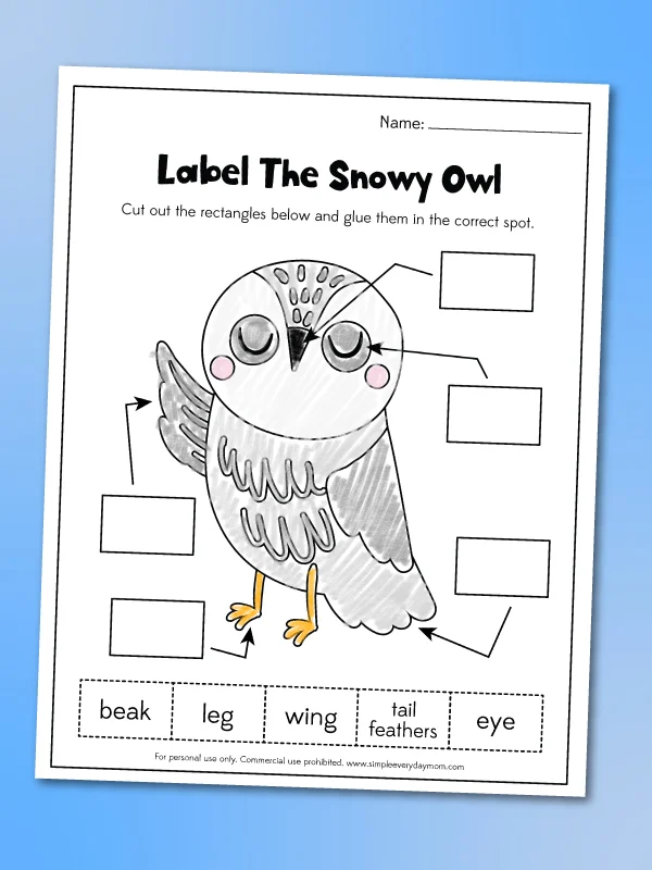 label a snowy owl worksheet