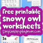 snowy owl worksheets image collage with the words free printable snowy owl worksheets