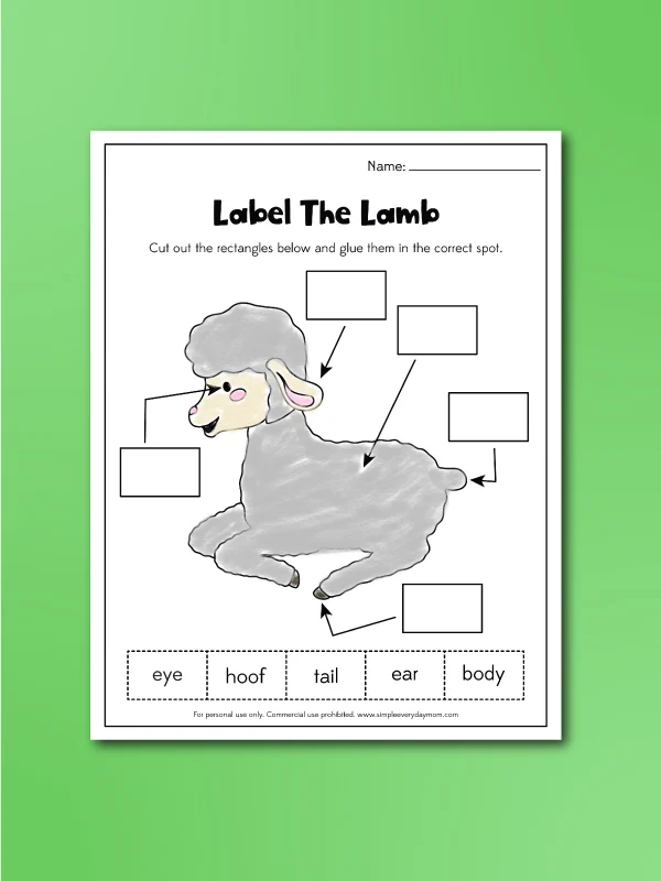 label a lamb worksheet