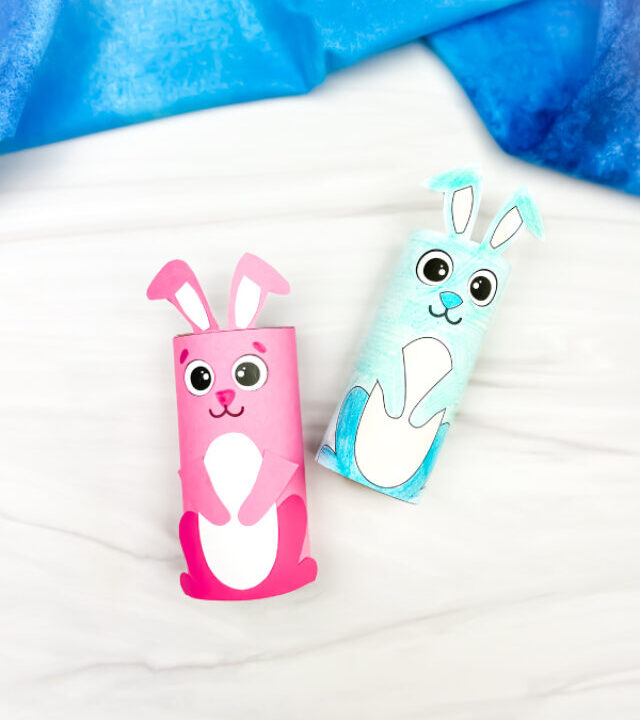 cropped-Toilet-Paper-Roll-Easter-Bunny-Craft-image.jpg