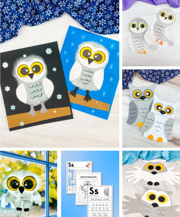 snowy owl activities image collage