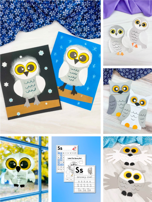 snowy owl activities image collage