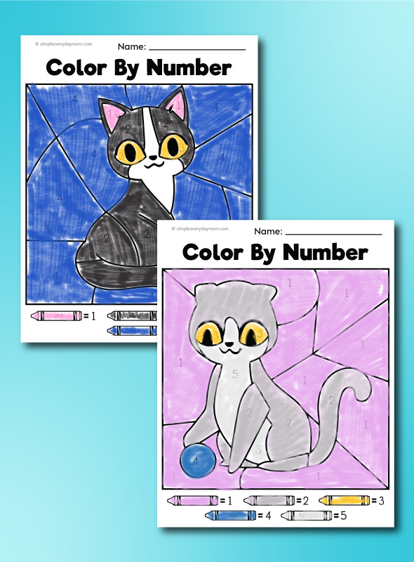 cat color by numbers