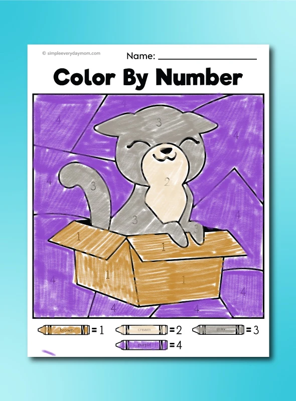 cat color by number