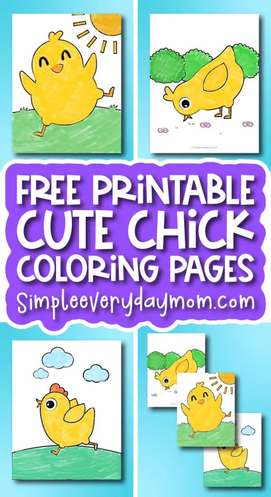 chick coloring pages image collage with the words free printable cute chick coloring pages