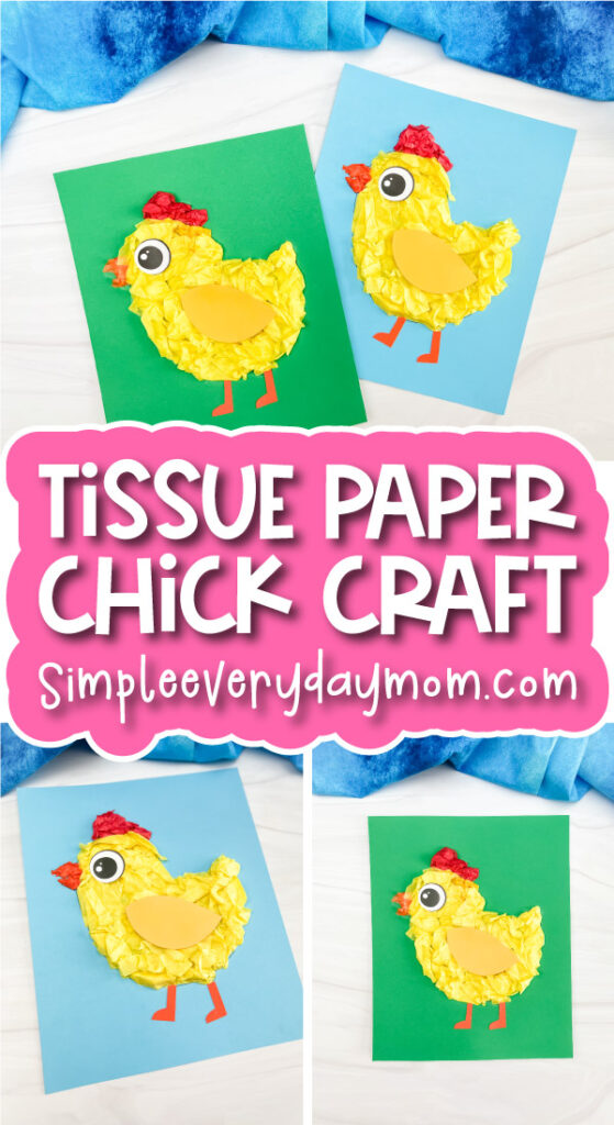 tissue paper chick craft image collage with the words tissue paper chick craft