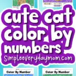 cat color by number image collage with the words cute cat color by numbers