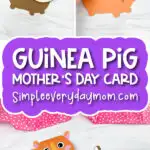 guinea pig card craft image collage with the words guinea pig mother's day card