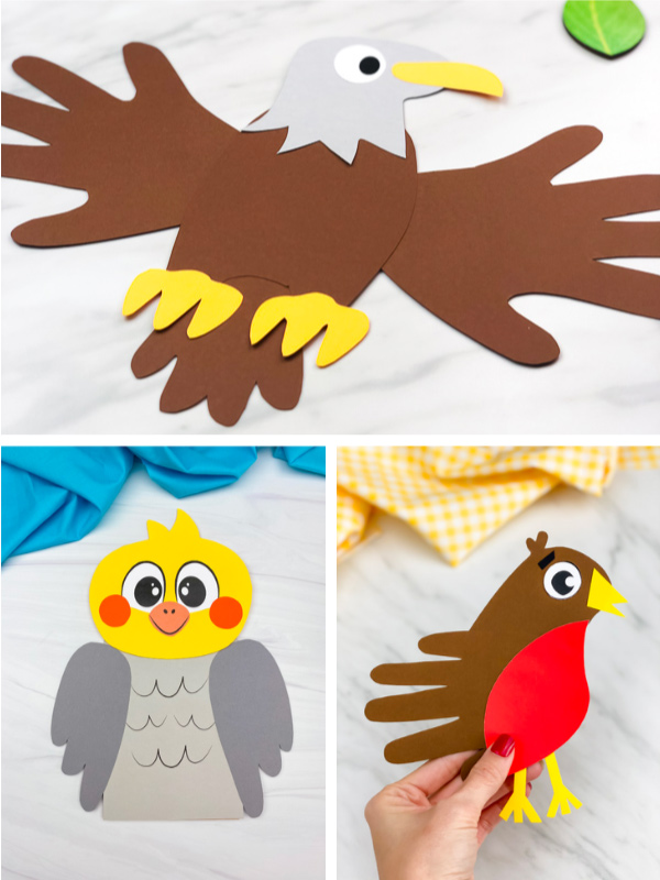 bird craft image collage