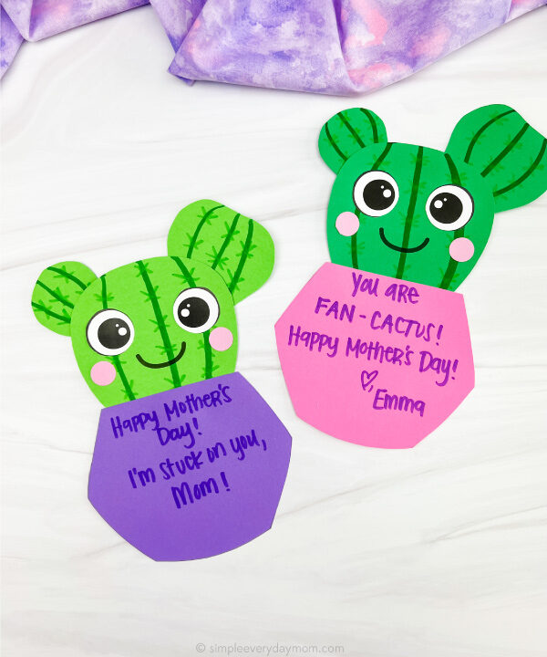 2 Mother's Day cactus crafts
