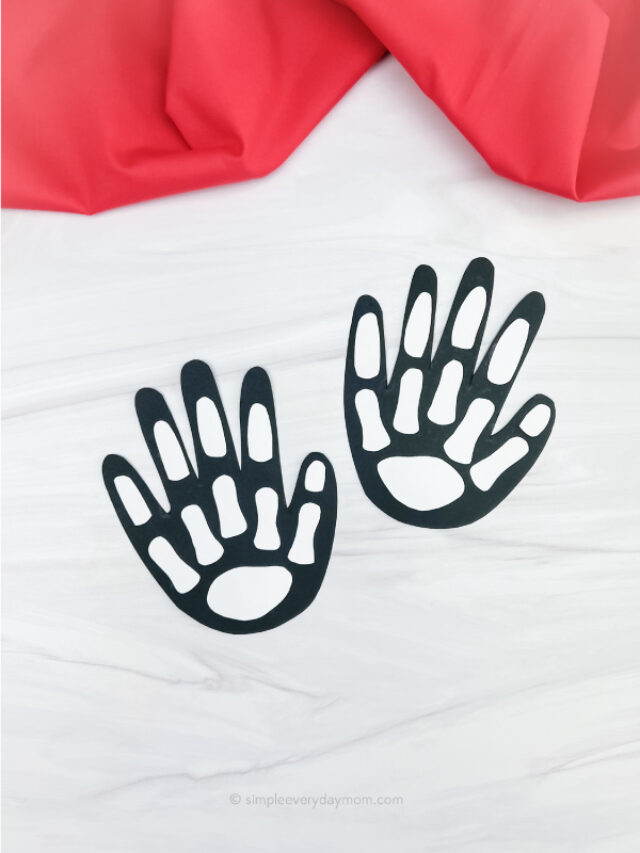 cropped-x-ray-craft-for-preschool-feature-image.jpg