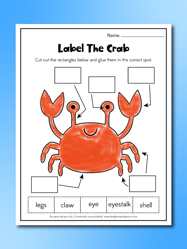 label a crab worksheet