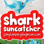 contact paper shark craft image collage with the words shark suncatcher