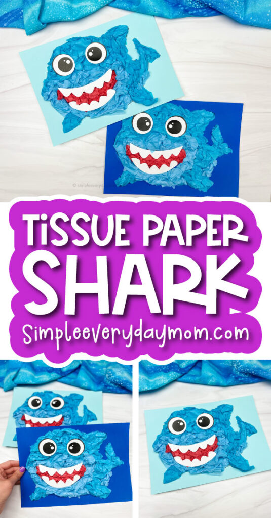 shark kid's craft image collage with the words tissue paper shark