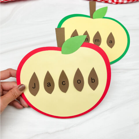 hand holding apple name craft with another one in the background