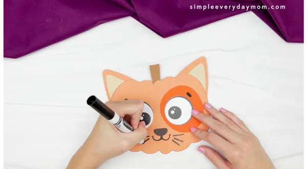 hand drawing whiskers on cat pumpkin craft