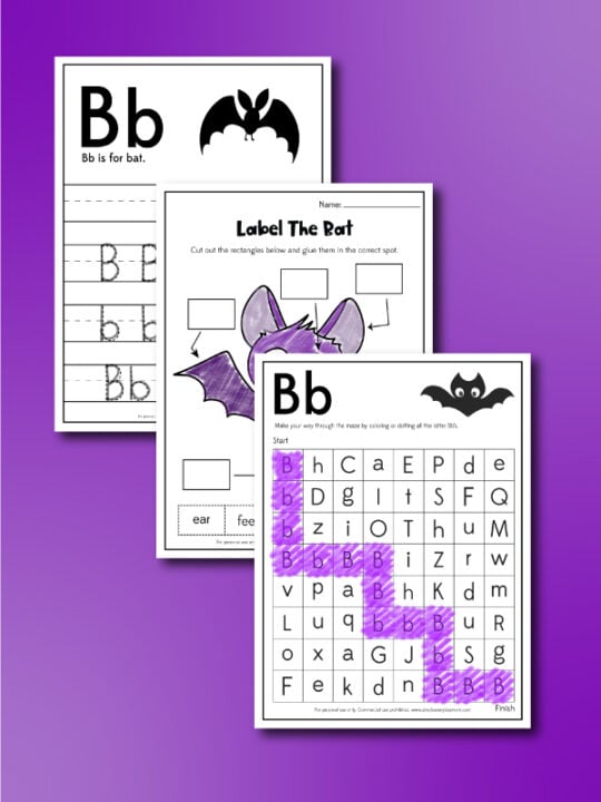 Free Printable Bat Worksheets For Kids